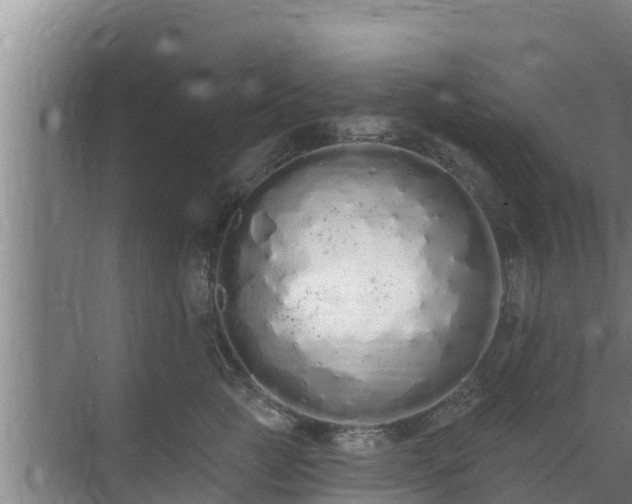 X0000072990761200607290013