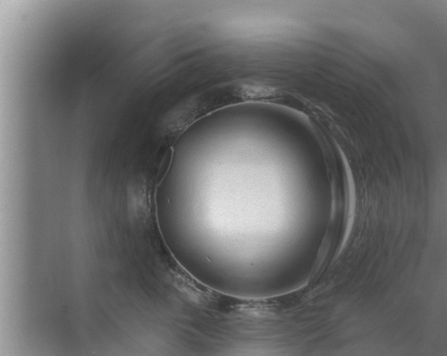 X0000072990763200607290013