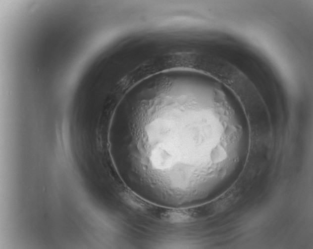 X0000072990765200607290013