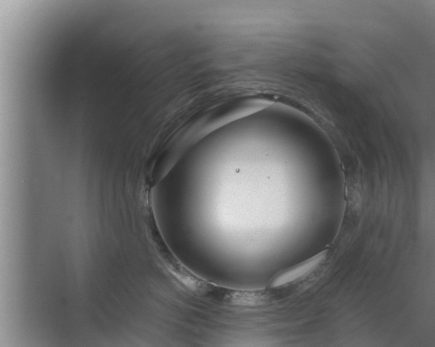 X0000072990766200607290013