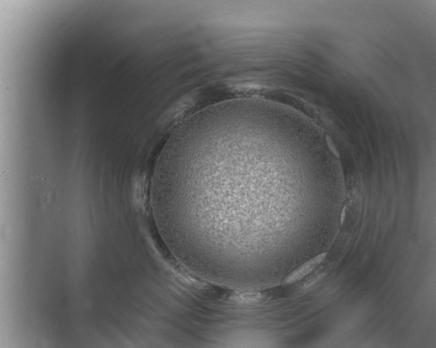 X0000072990767200607290013