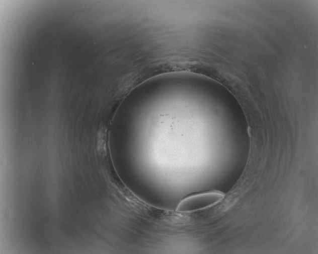 X0000072990768200607290013