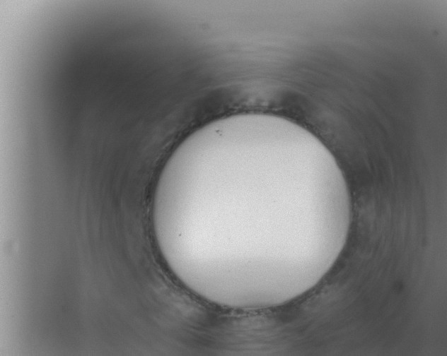 X0000072990769200607290013