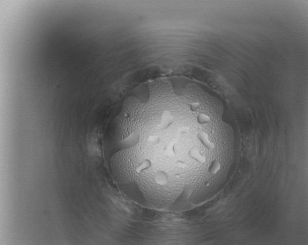 X0000072990770200607290013