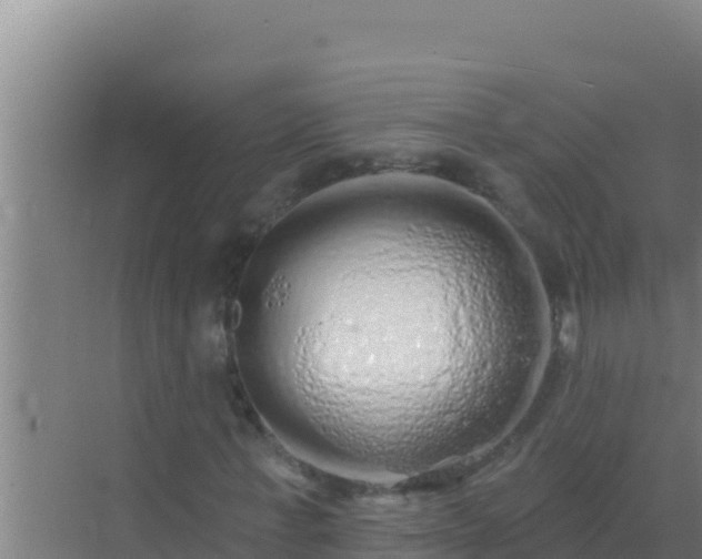 X0000072990771200607290013