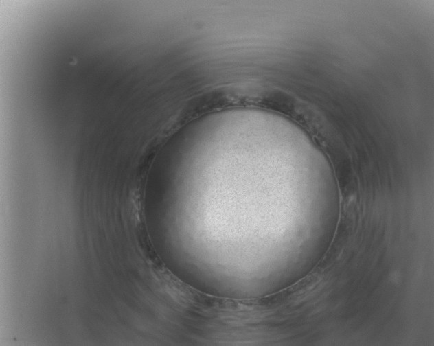 X0000072990772200607290013