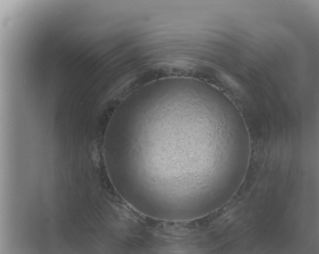 X0000072990774200607290013