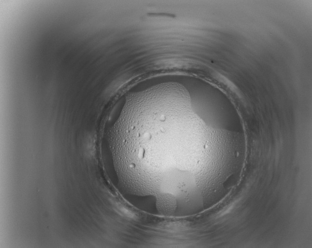 X0000072990778200607290013