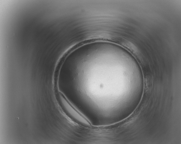 X0000072990780200607290012