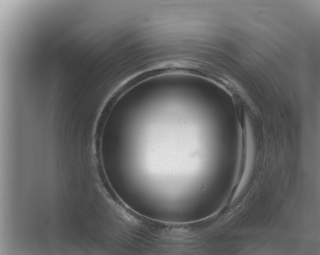 X0000072990784200607290012