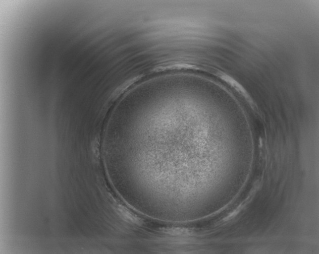 X0000072990785200607290012