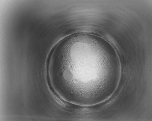 X0000072990787200607290012