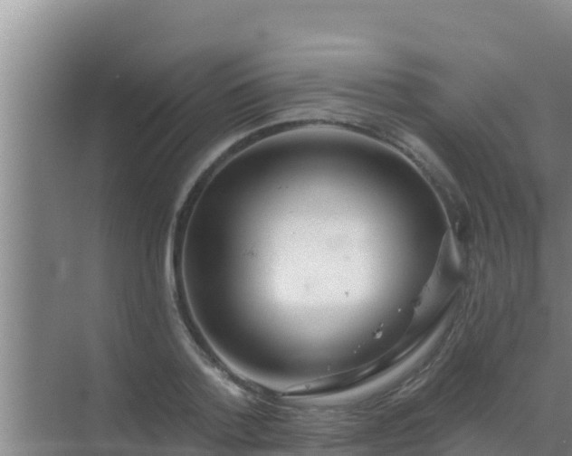 X0000072990788200607290012