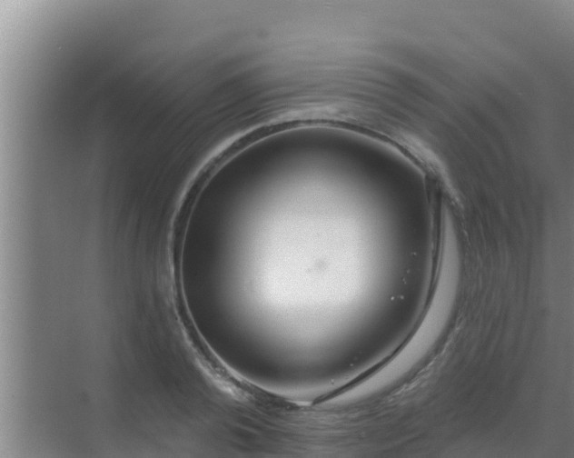 X0000072990792200607290012