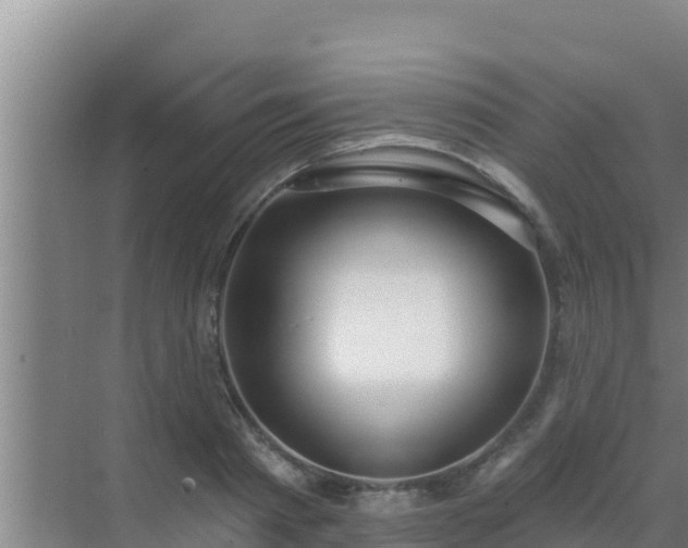 X0000072990793200607290012