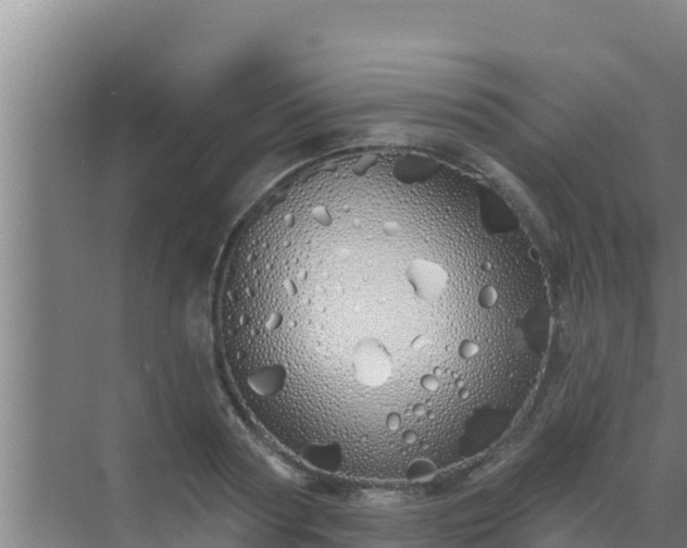 X0000072990794200607290012