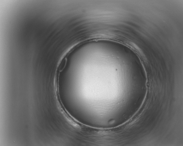 X0000072990796200607290012