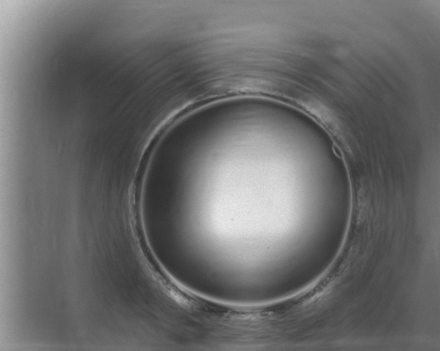 X0000072990798200607290012