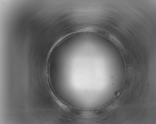 X0000072990800200607290012