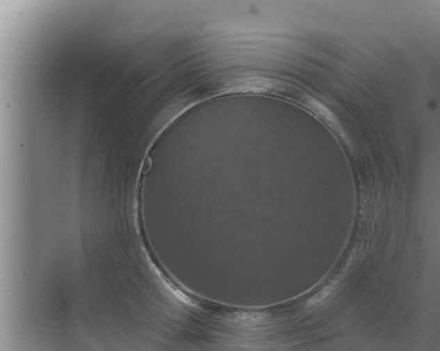 X0000072990802200607290012