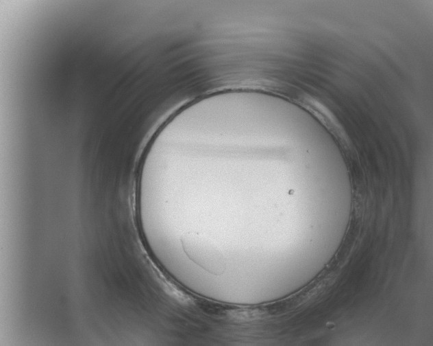 X0000072990804200607290012