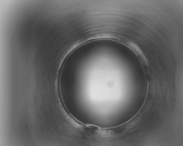 X0000072990805200607290012