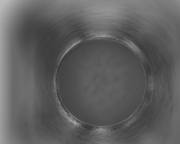 X0000072990806200607290012