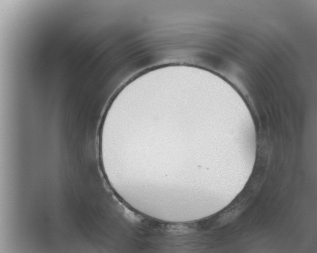 X0000072990807200607290012