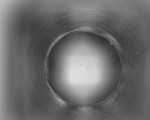 X0000072990808200607290012