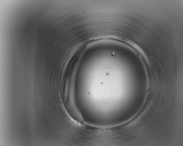 X0000072990809200607290012