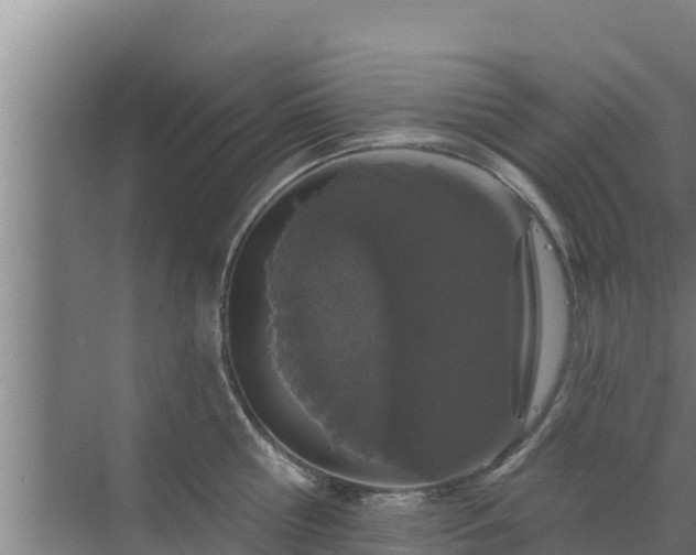 X0000072990810200607290012