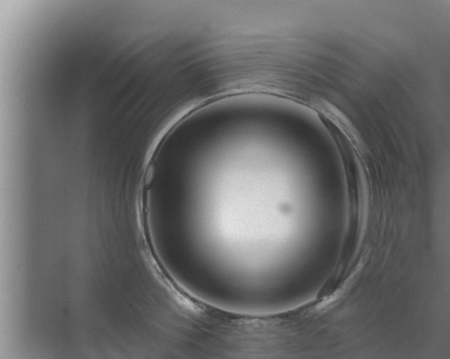 X0000072990812200607290012