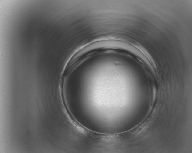 X0000072990813200607290012