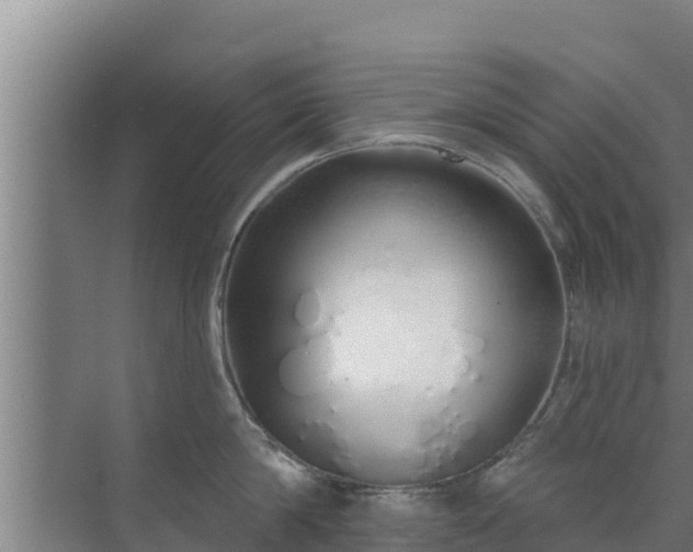 X0000072990814200607290012