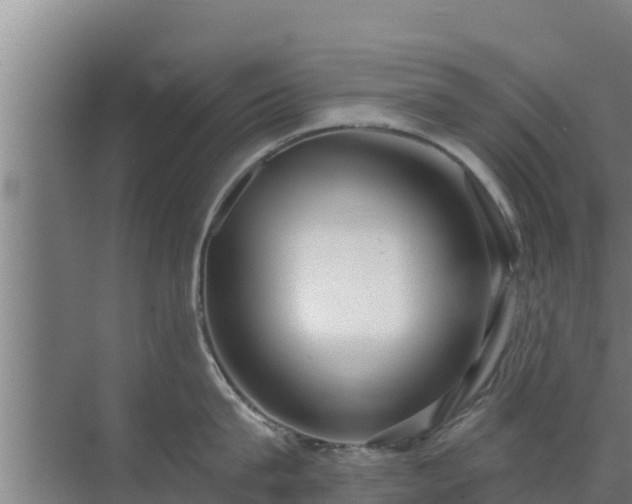 X0000072990815200607290012