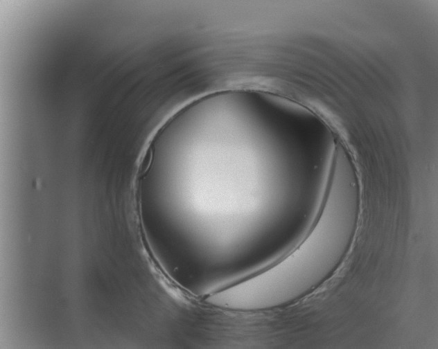 X0000072990816200607290012