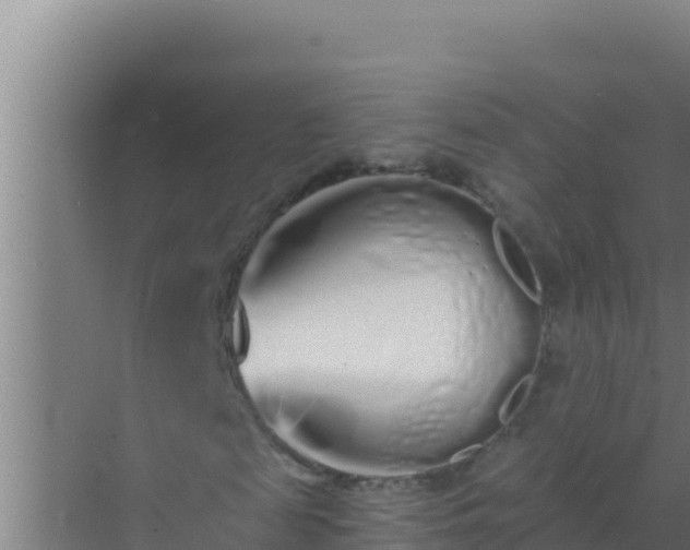 X0000072990817200607290011