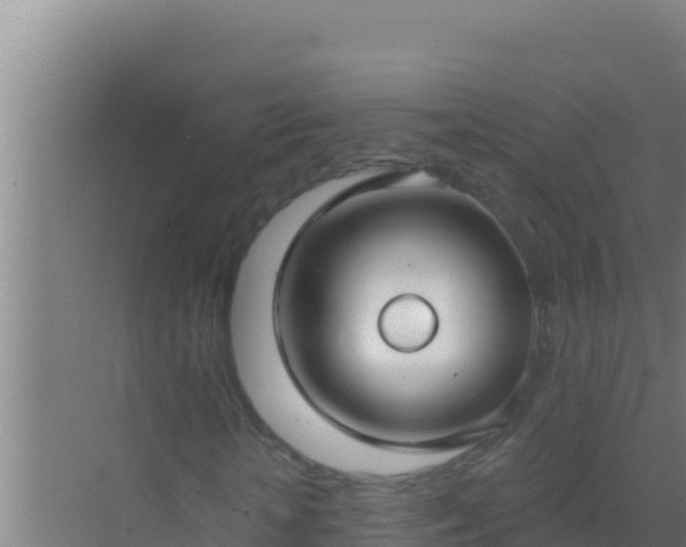 X0000072990818200607290011