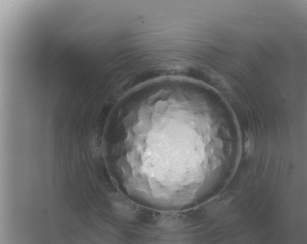 X0000072990819200607290011