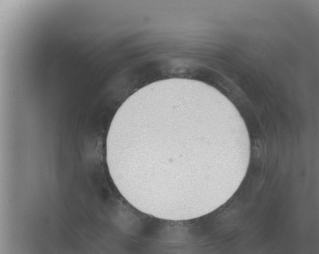 X0000072990820200607290011