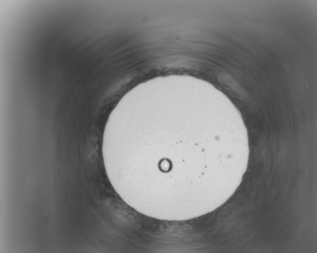 X0000072990824200607290011