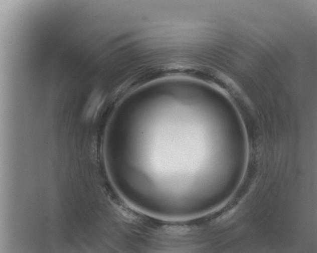 X0000072990825200607290011