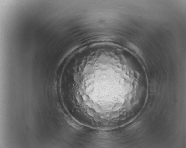 X0000072990827200607290011