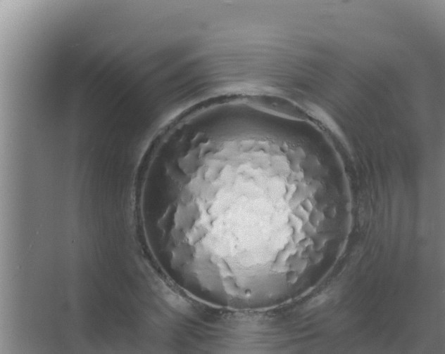 X0000072990831200607290011