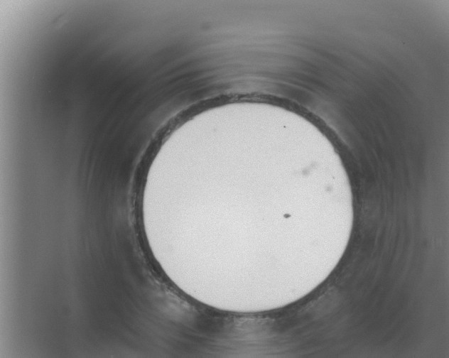 X0000072990832200607290011