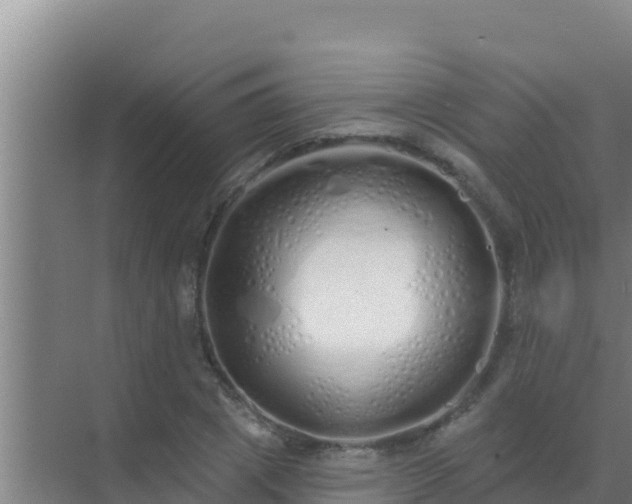 X0000072990833200607290011