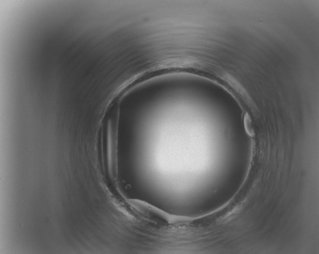 X0000072990834200607290011