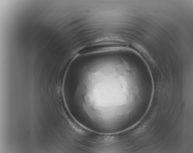 X0000072990841200607290011