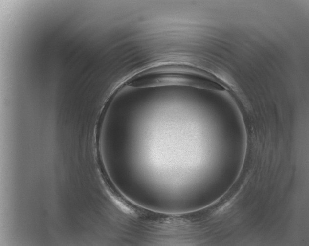 X0000072990842200607290011