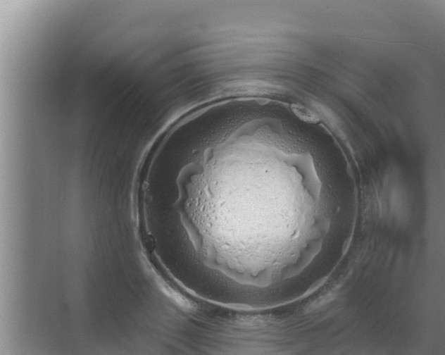 X0000072990843200607290012